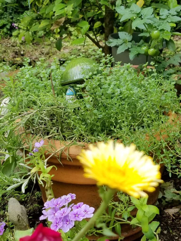 Garden with flowers and small gnome statue.