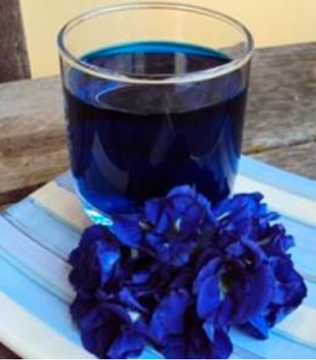 A glass of deep blue beverage with vibrant blue flowers on a napkin.