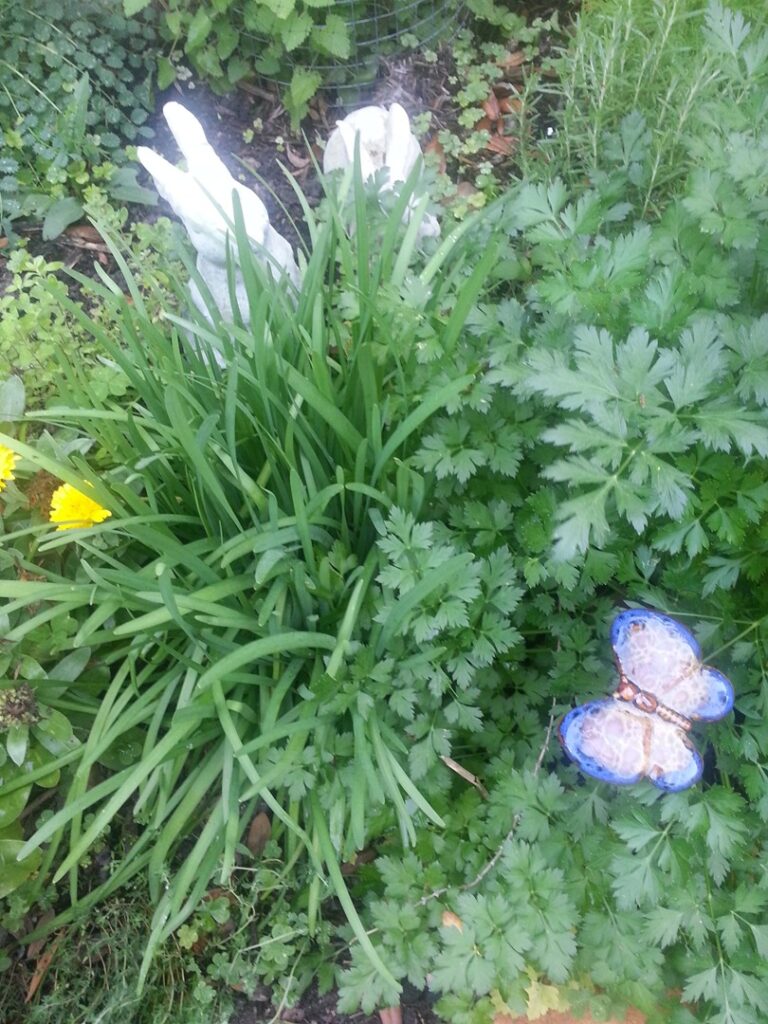 A garden scene with green plants, a yellow flower, and a blue butterfly decoration.